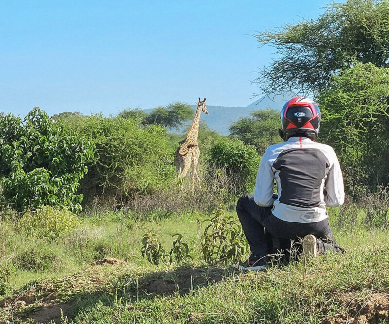 Nationalpark Tarangire