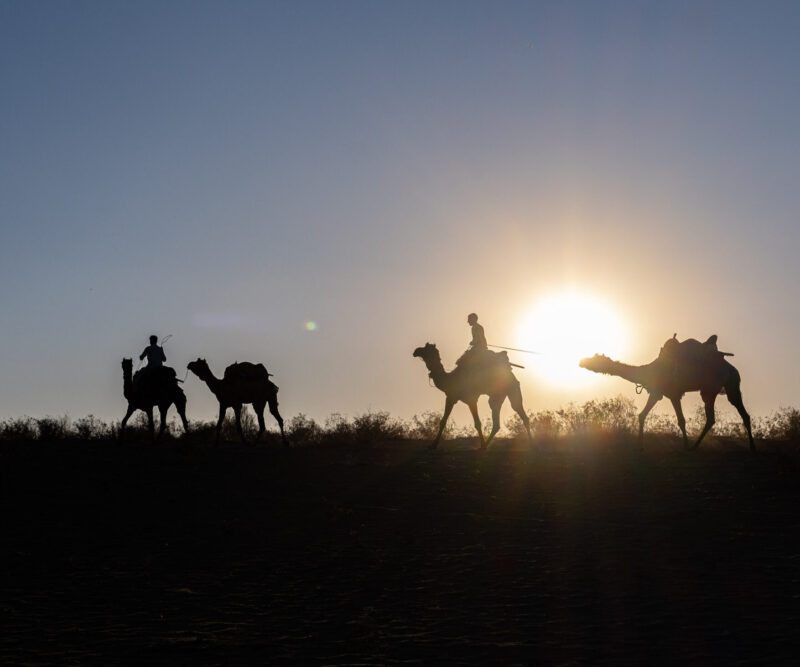 Barmer - Thar Desert