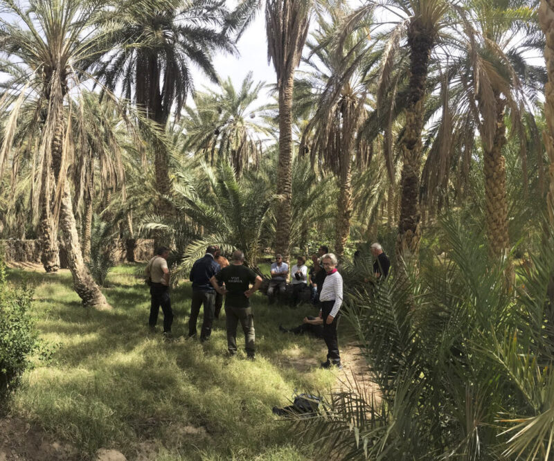Ksar Ghilane - Douz