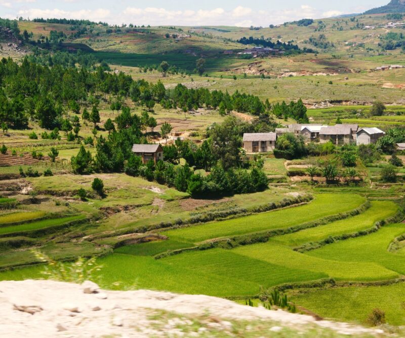 Ranomafana - Sahambavy