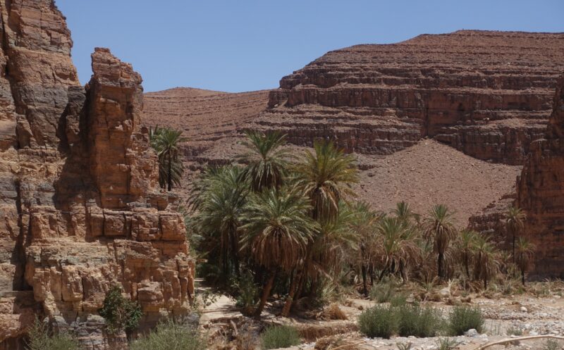 The Argan Tree Route, étape 1