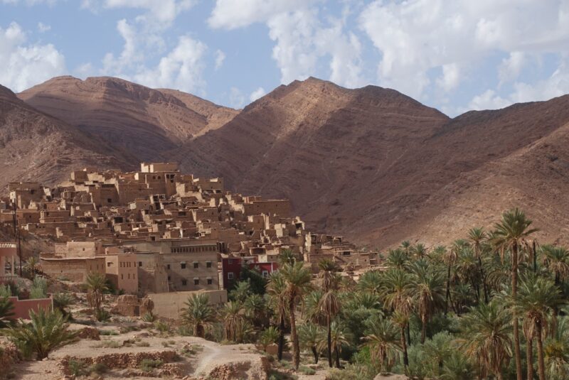The Argan Tree Route, étape 4