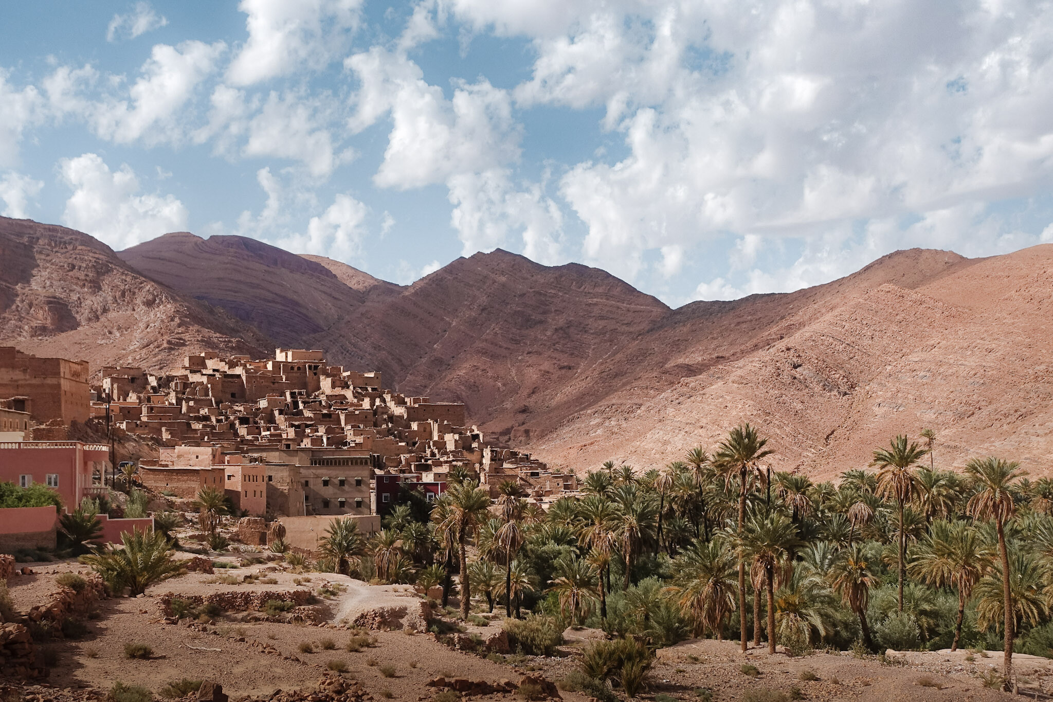Motorcycle trip Morocco, The Argan Tree Route