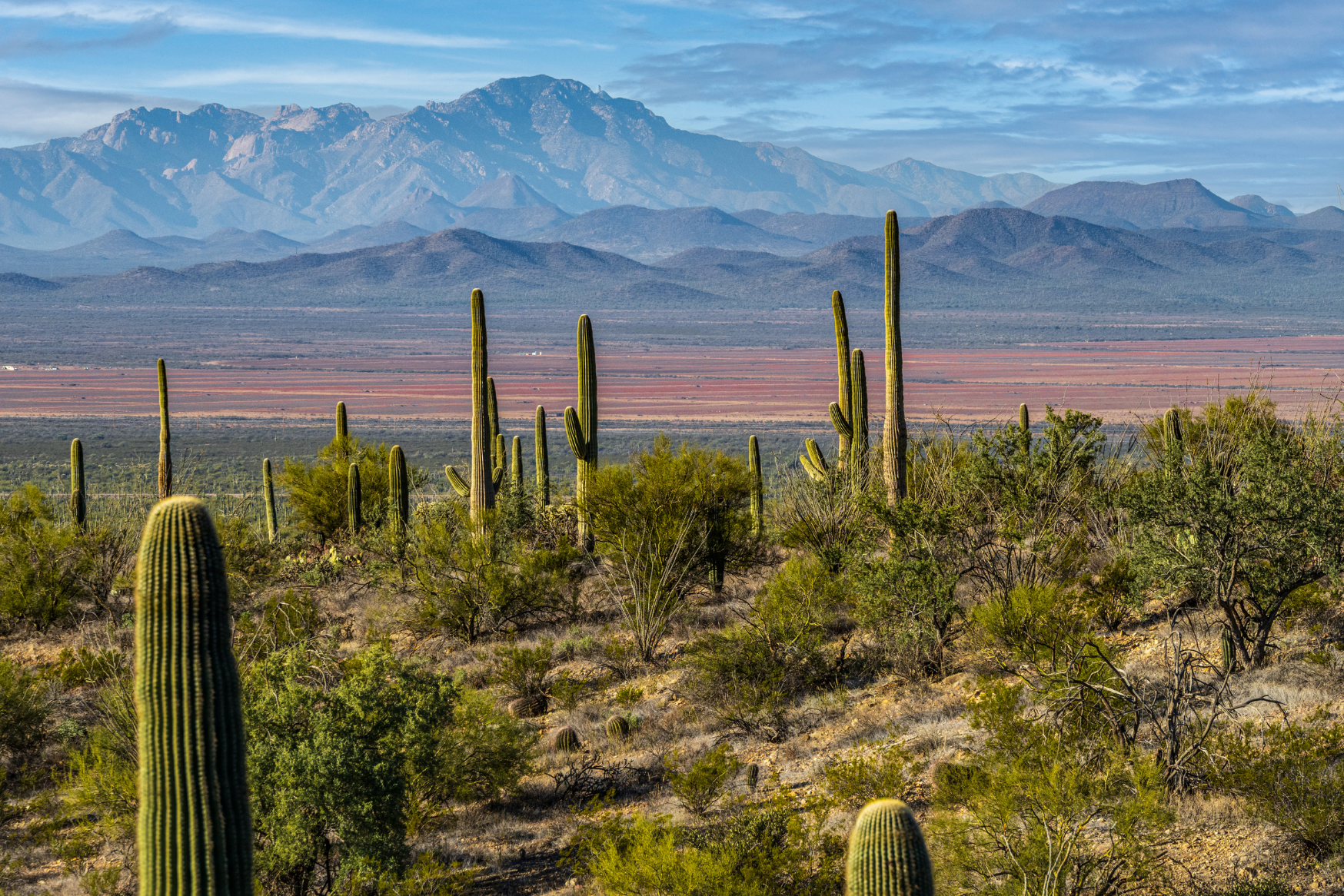 3-Day Southern Arizona Adventure Motorcycle Tour, IRON PONIES OF THE SOUTHWEST