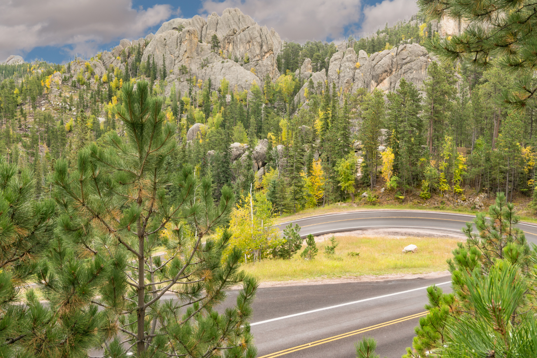 YOUR ADVENTURE IN THE BLACK HILLS, New Cowboys of the Old West