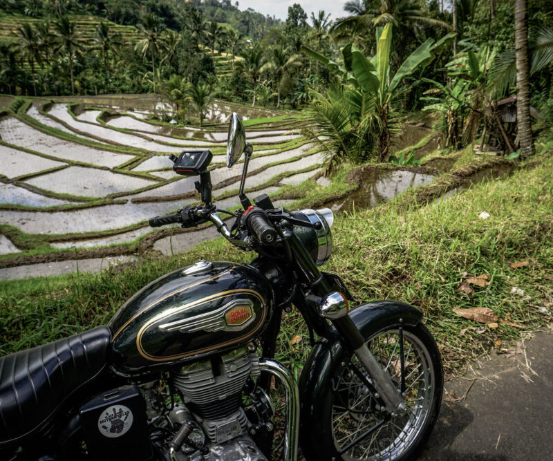 Ubud - Belimbing