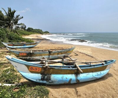 sri lanka plage ocean cocotier