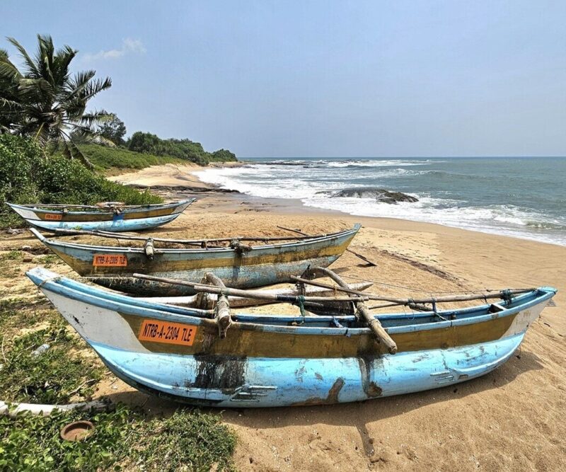 Udawalawe - Galle 