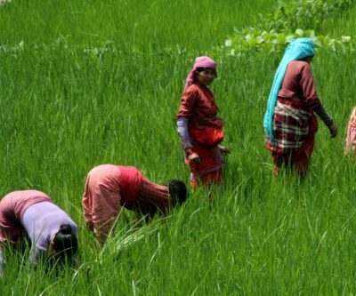 buddhist temple kathmandu