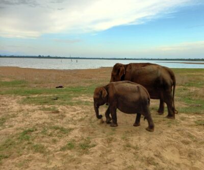 sri lanka baignade riviere