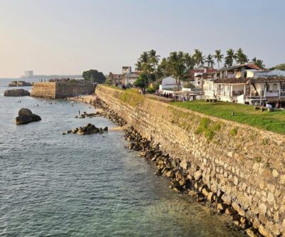 sri lanka pecheur echasse