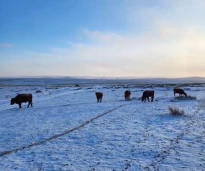 coffee time frozen lake