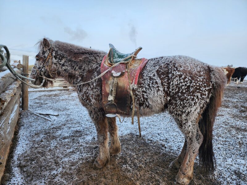 La Voie des Glaces, étape 2