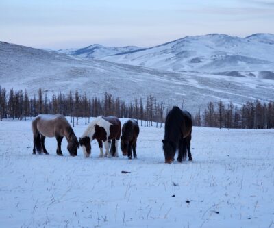 frozen lake mongolia 