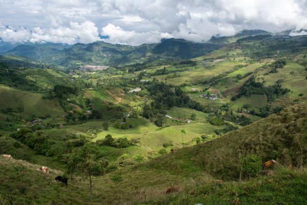 La route du café à travers les Andes