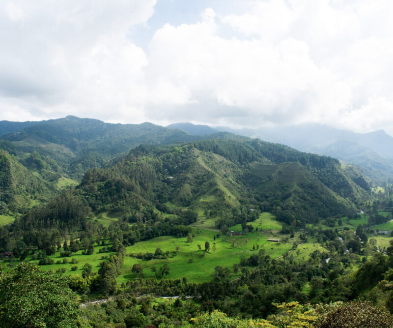 Medellín - Jardín