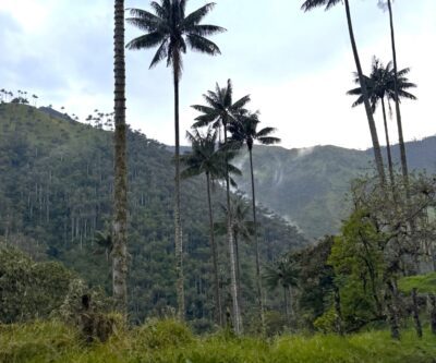 Salento - Ibagué