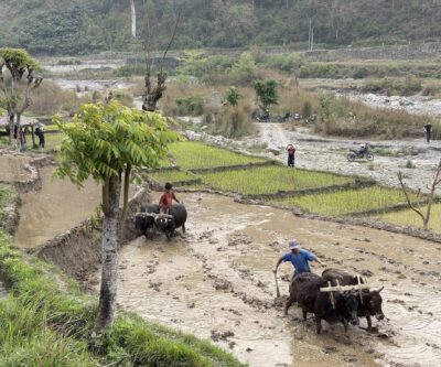 Chitwan - Tansen (1420 m)