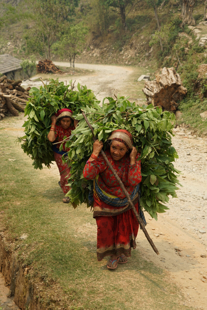 Nepal: From the Jungle to the Gates of Mustang, étape 5