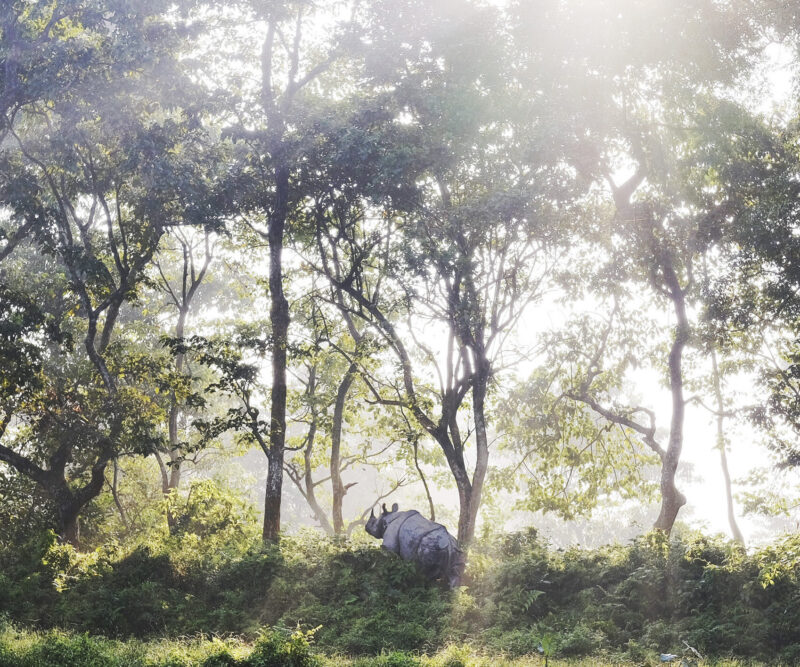 Chitwan (200 m)