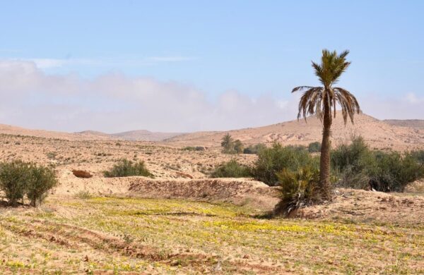 Chasing the Nomad Caravans – Girl’s Ride