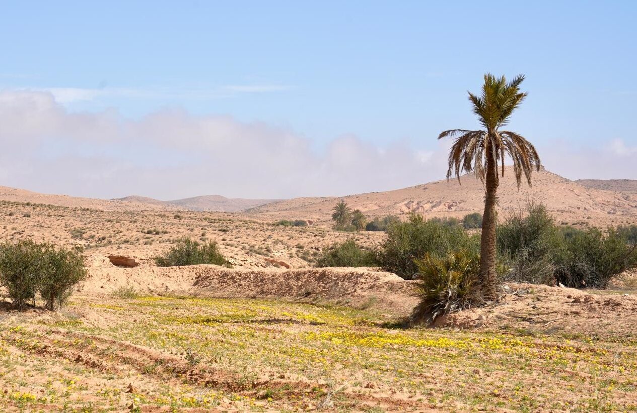 VOYAGE MOTO EN TUNISIE, La trace des caravanes – Girl&rsquo;s Ride