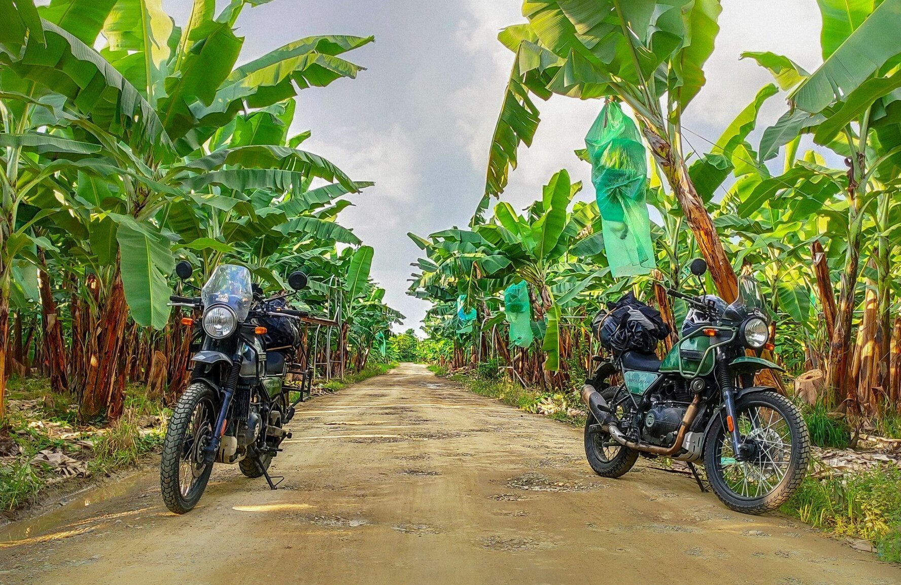 Motorcycle Trip in Ecuador, Volcanoes & Amazon Expedition