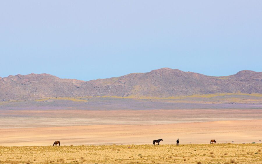 Southern Namib Desert - Sesriem