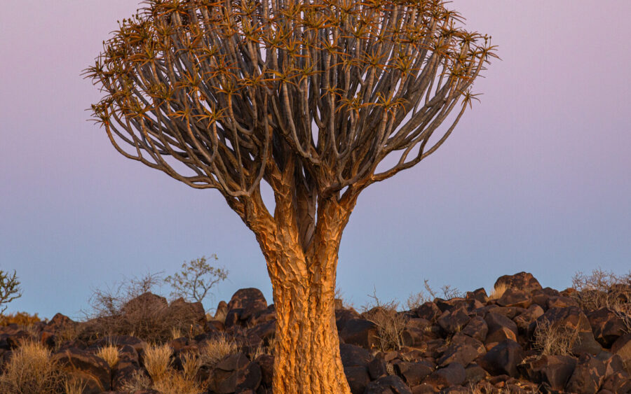 Keetmanshoop - Fish River Canyon