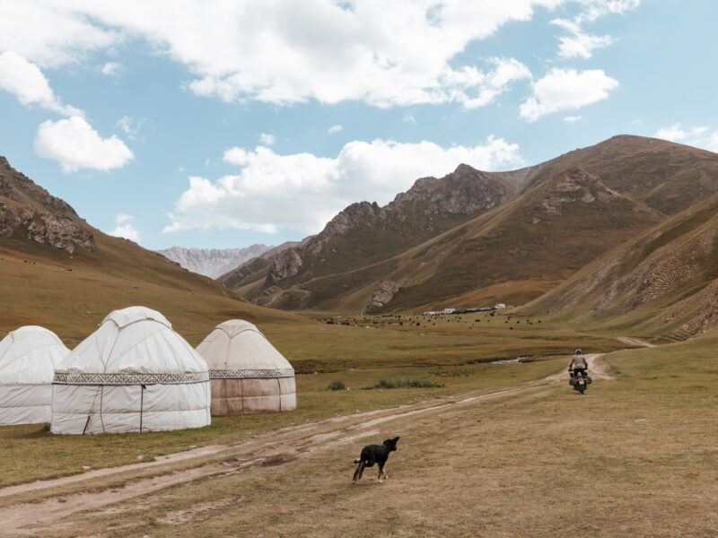 The Nomad Odyssey, stage 5