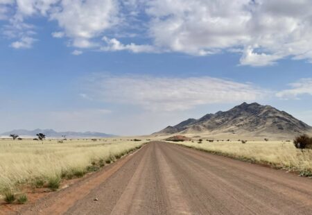 <h2>Le parc national du Namib-Naukluft</h2>

Nouvelle journée, nouvelle aventure. Après avoir affronté tôle ondulée, pièges de sable et ornières profondes, me voilà récompensée à la vue d’un troupeau d’oryx cavalant dans la steppe désertique à mes côtés. Longeant le parc national du Namib-Naukluft, je suis témoin de toute la diversité des paysages désertiques. Loin d’être monotone,<a href="https://www.vintagerides.com/voyage-moto/namibie/pistes-en-terre-namibienne/">la Namibie</a> dévoile ses multiples visages avec ses nuances de couleurs qui changent au fur et à mesure que la journée progresse. 
