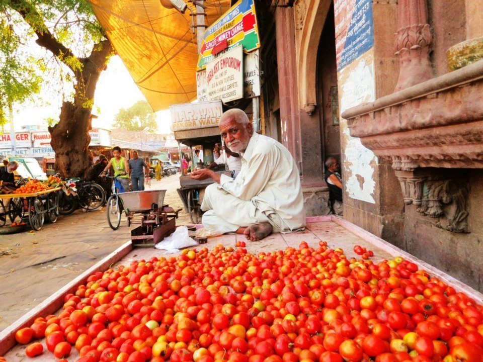 marché inde rajasthan