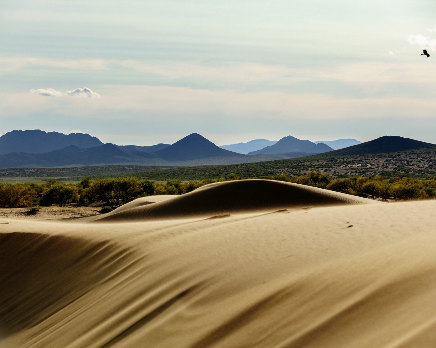 désert dunes mongoles
