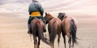 balade a cheval mongolie