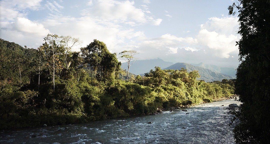 paysage amazonie riviere perou
